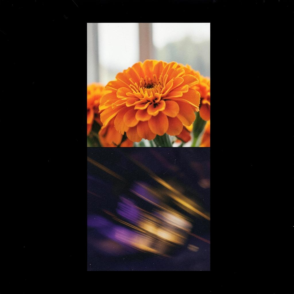 Marigold Momentum — AjAi India Vibes artwork