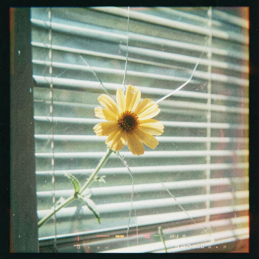 פרח אביב - סטייל רוק שנות ה80 artwork