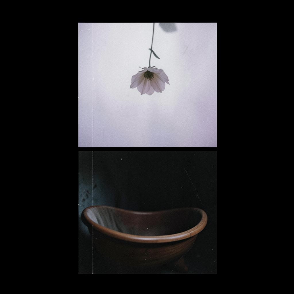 Midnight Slumber artwork