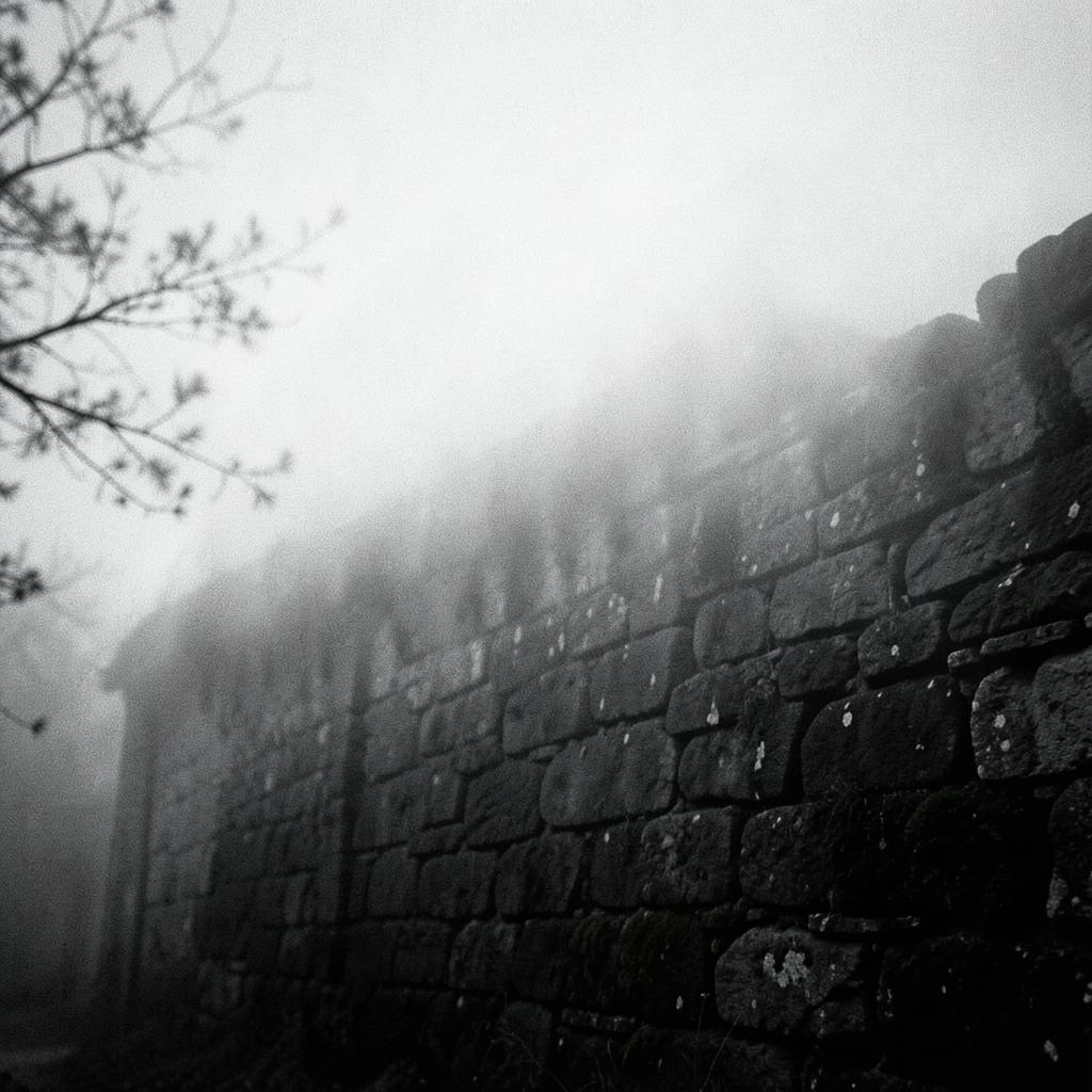Lost in Fog artwork