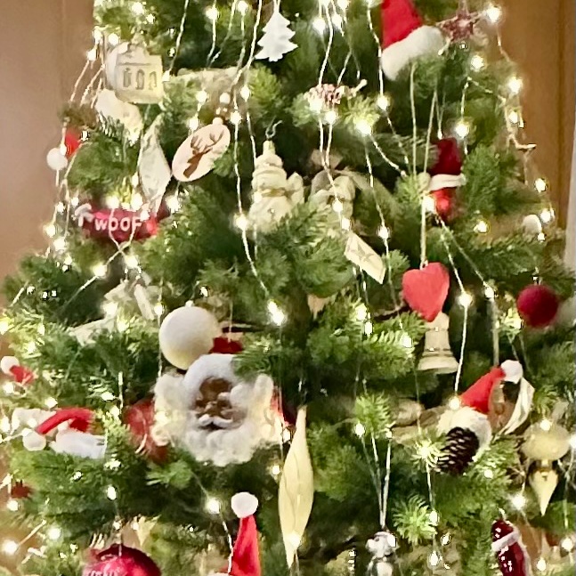 Christmas in the world