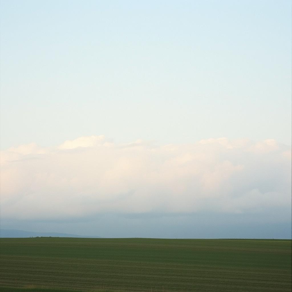 Persona image for Male Singer Songwriter