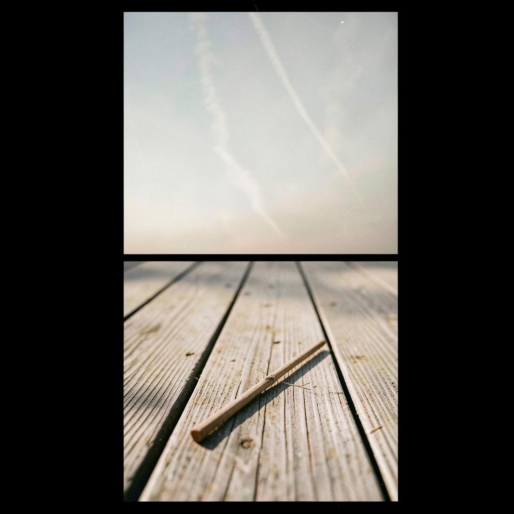 Carry the Echo Home artwork