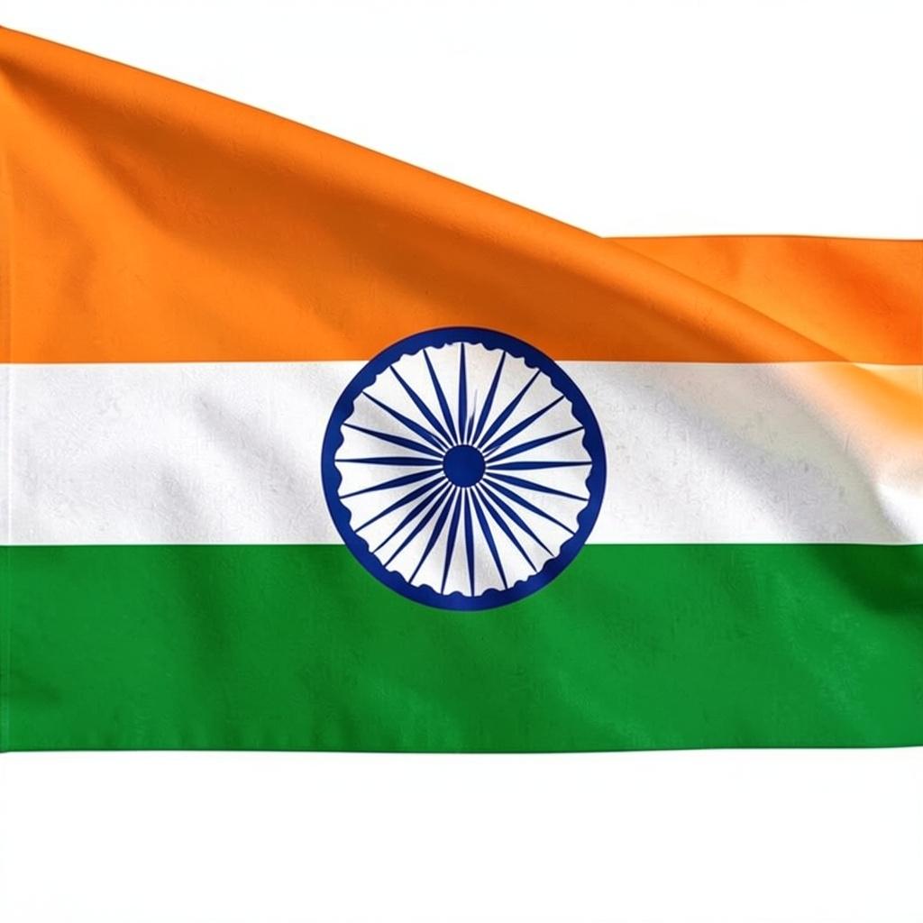 Proud to be Indian artwork