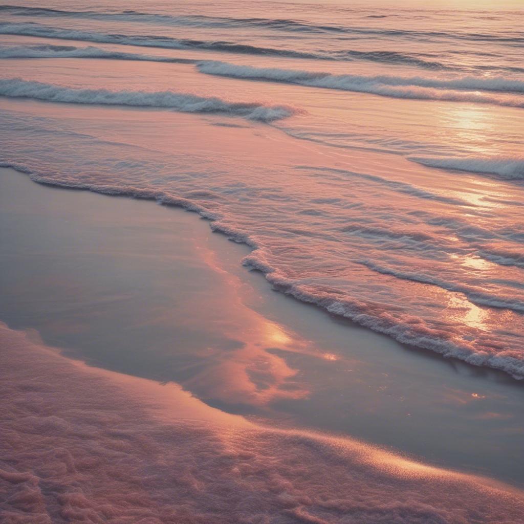 Image for (VDMD to P.)