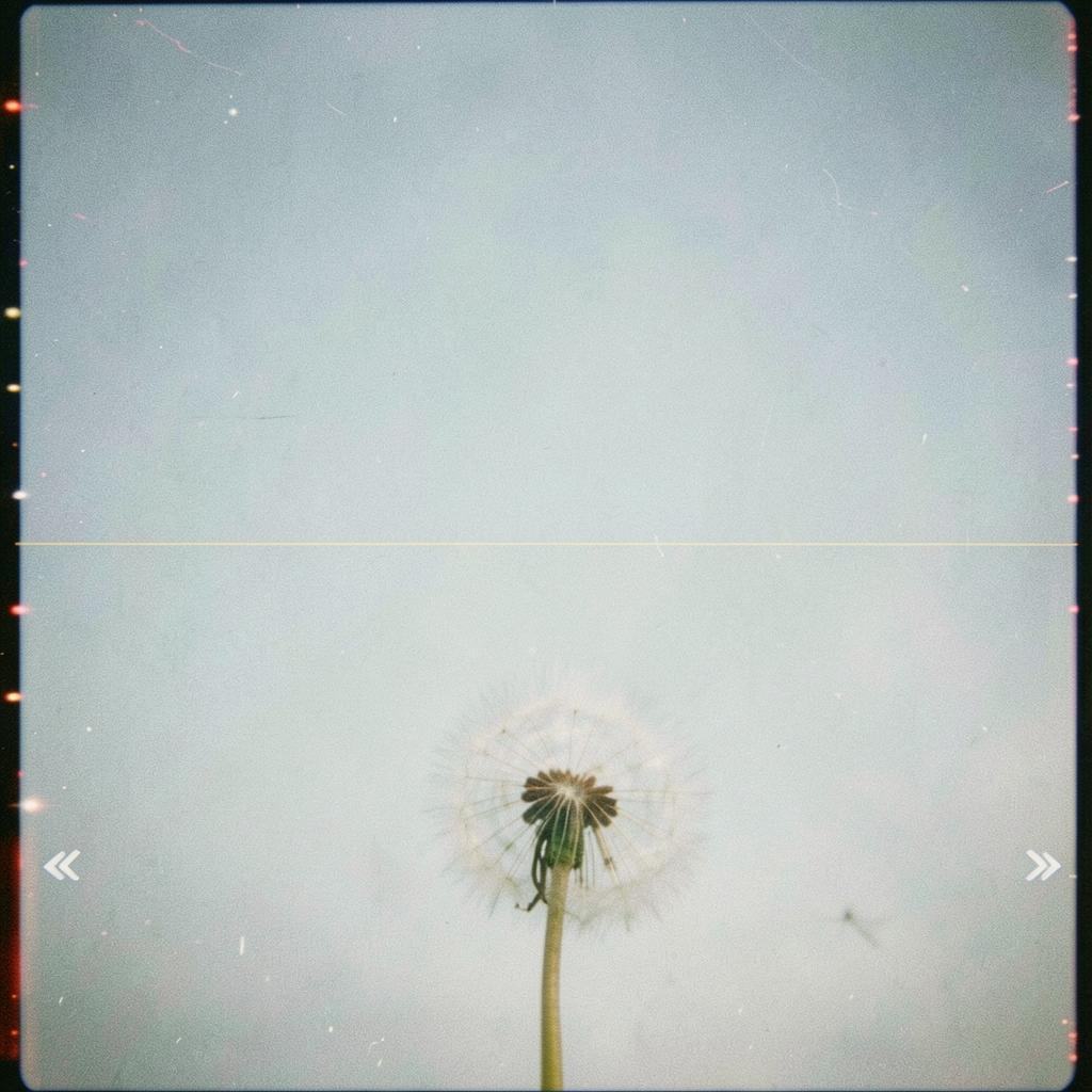 Why Breathe artwork
