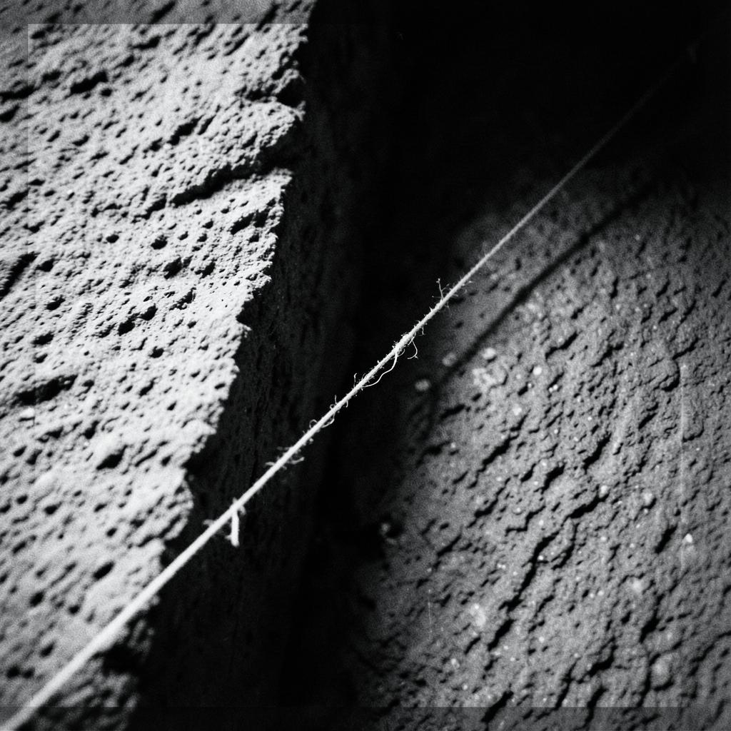 z1003_Still Undone_zx184 artwork