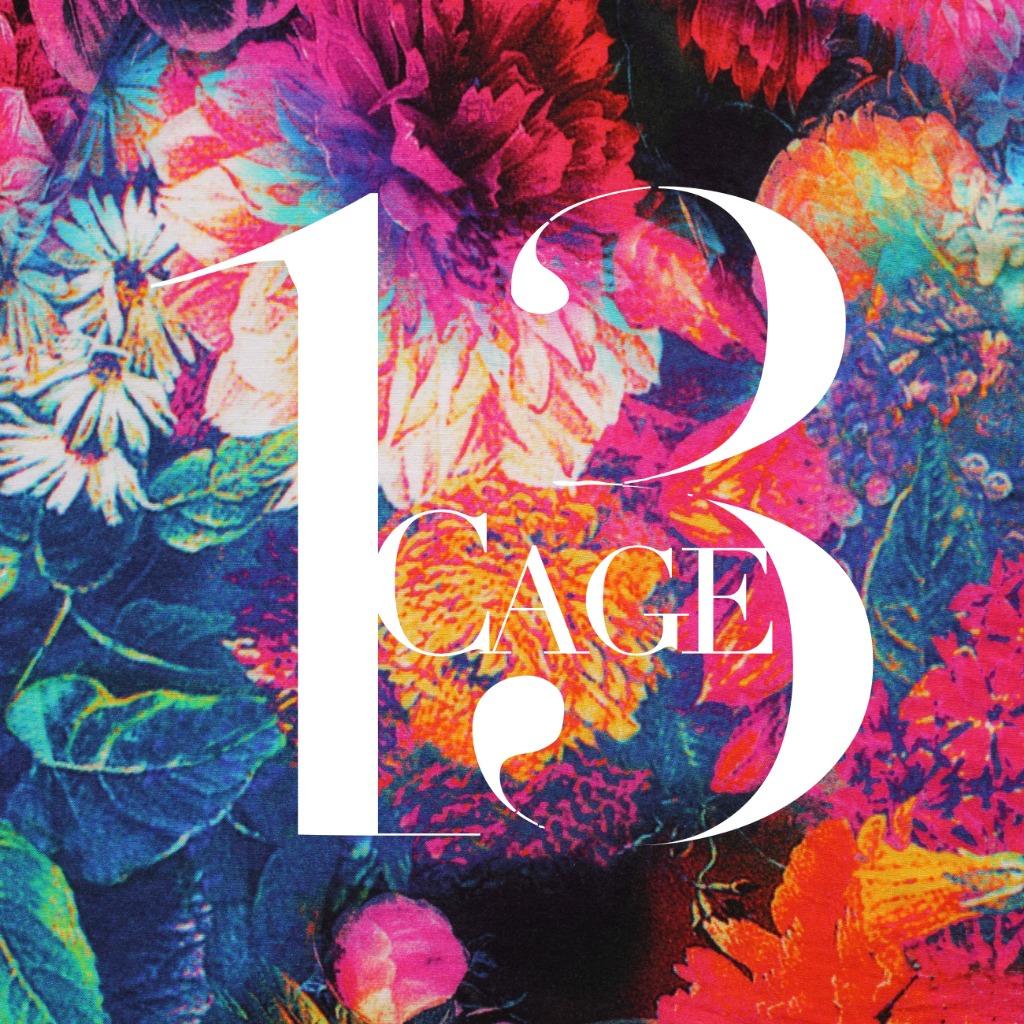 Cage13 - Noise Pop