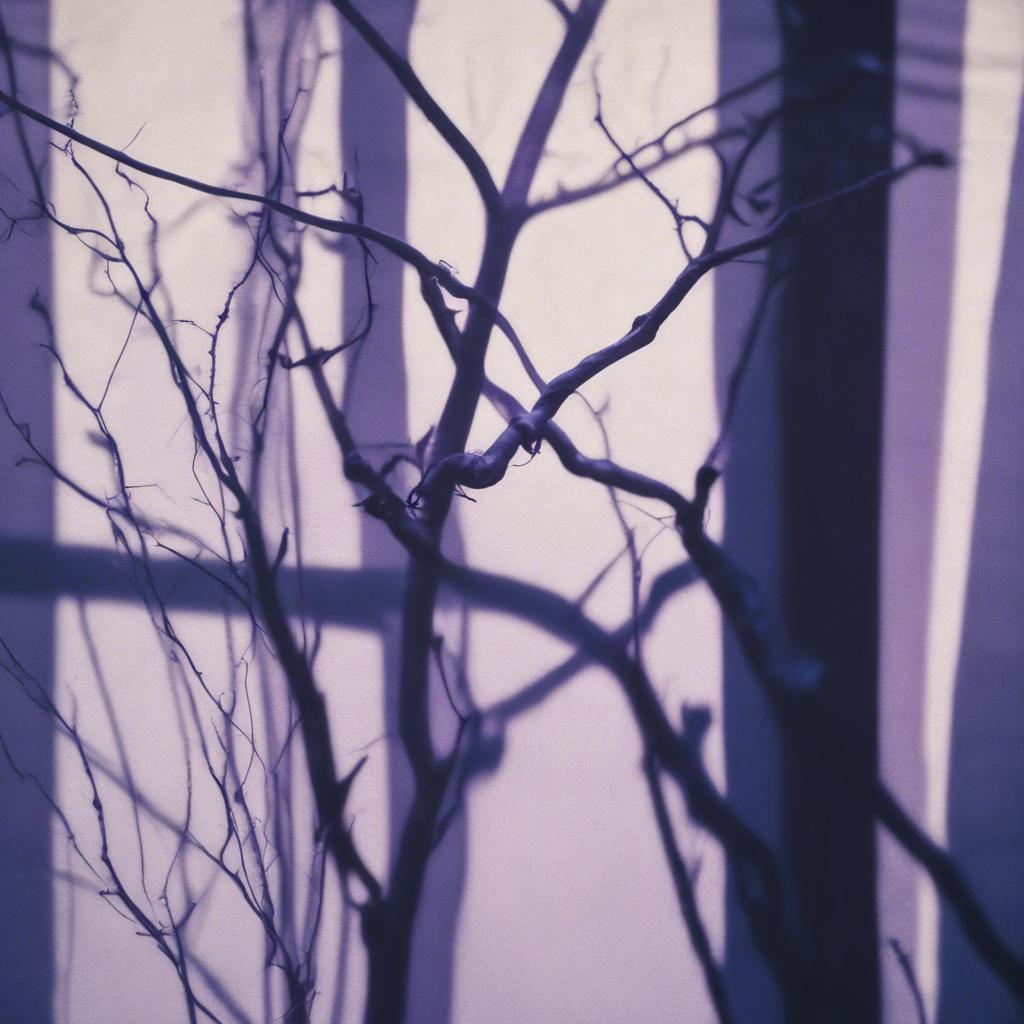 Image for Songs of Mine