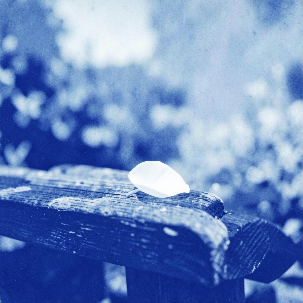 солнце светит artwork