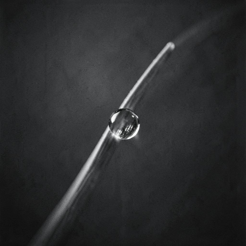 Weightless Silence artwork