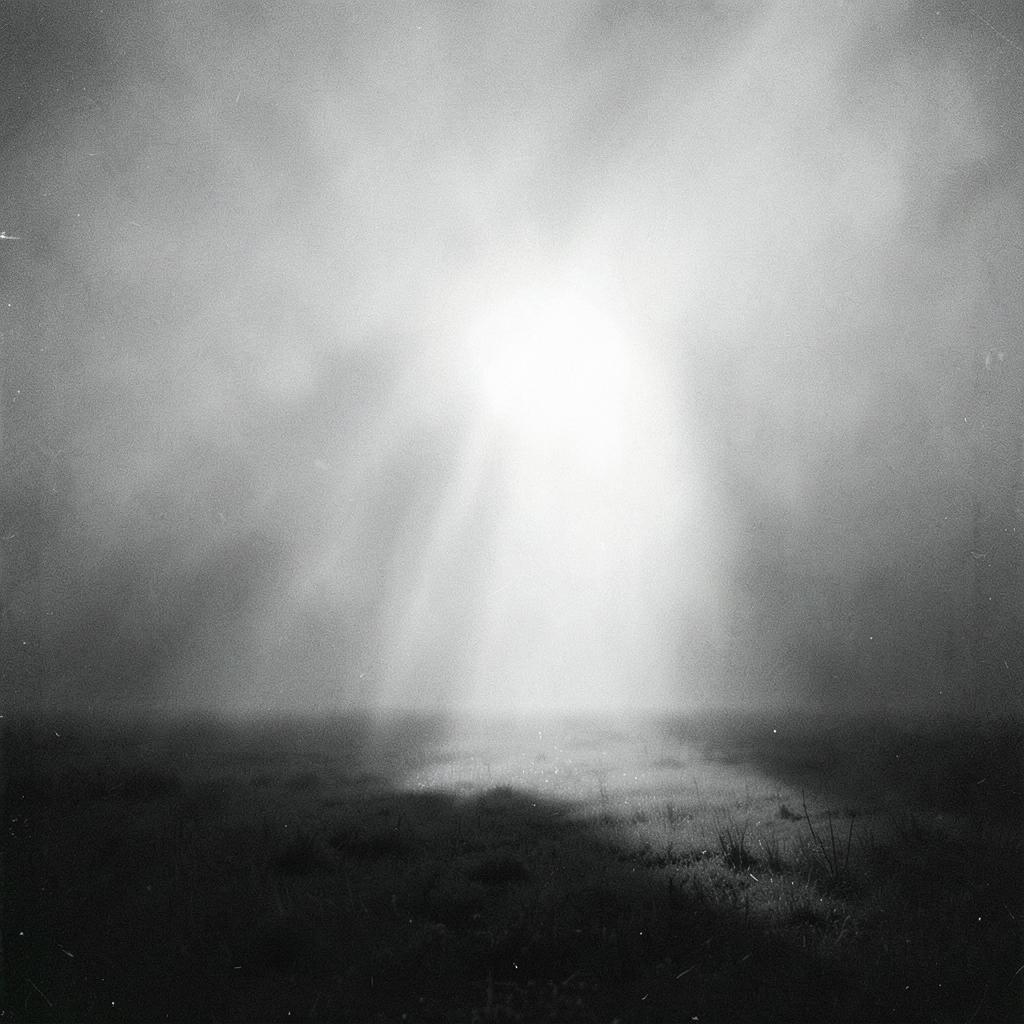 Luz ao Caminho artwork