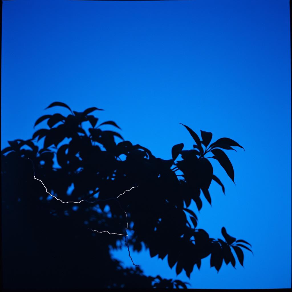 Persona image for Вески