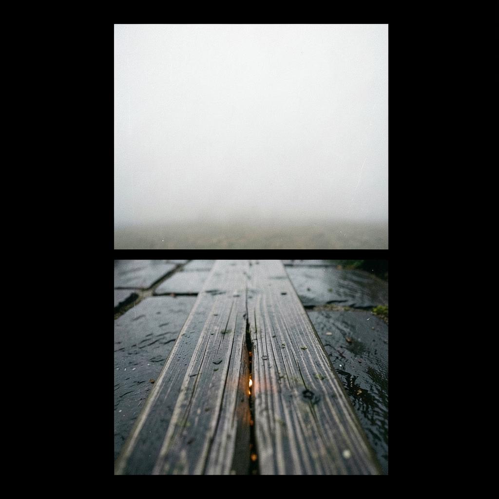 без повода .mp3 artwork