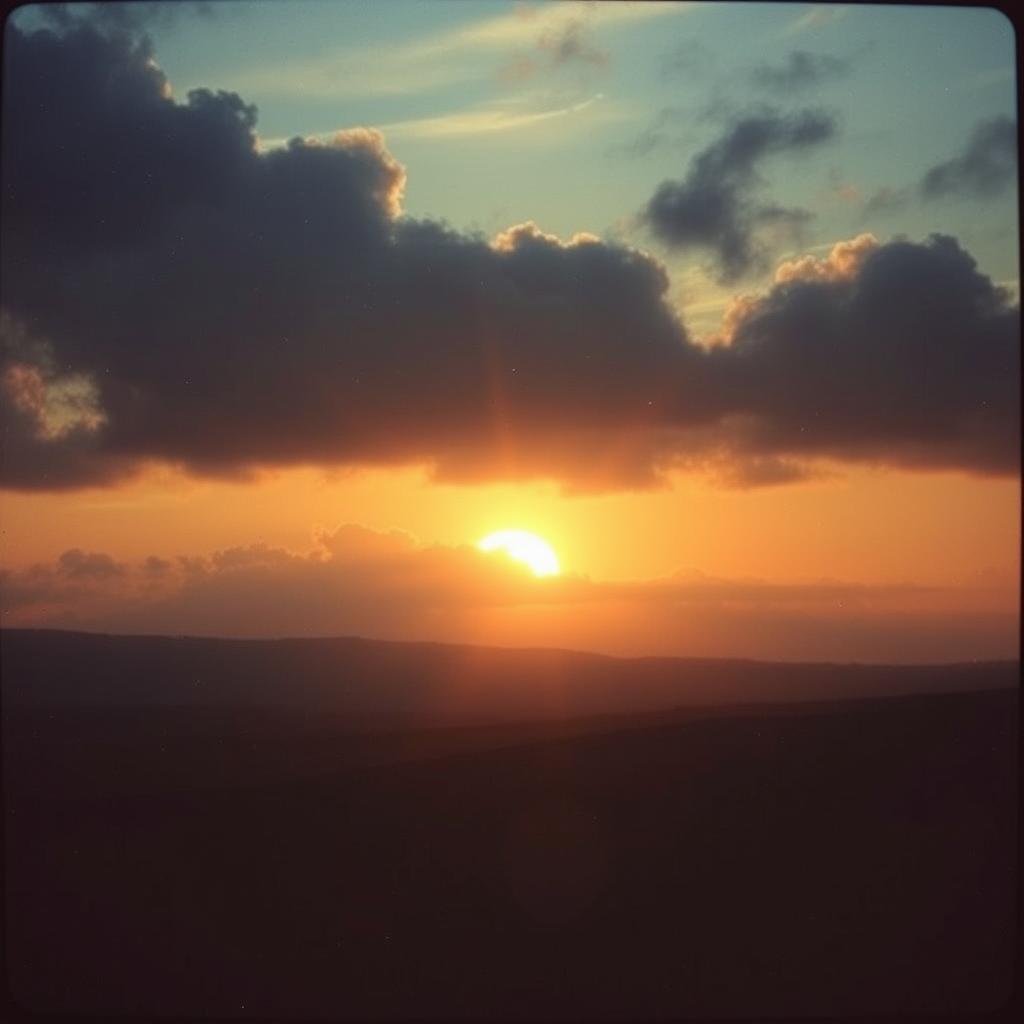 Persona image for Untitled Persona