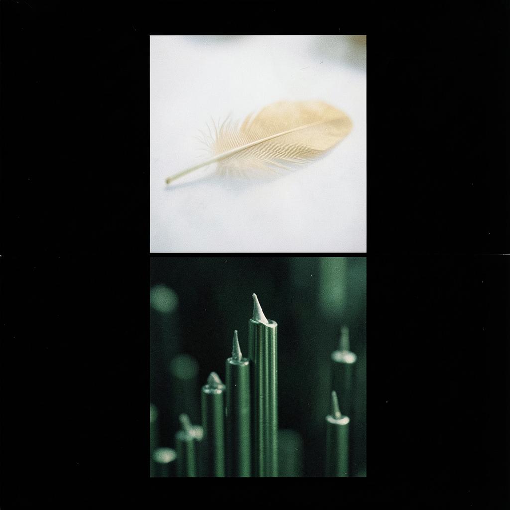 Chump It Up artwork