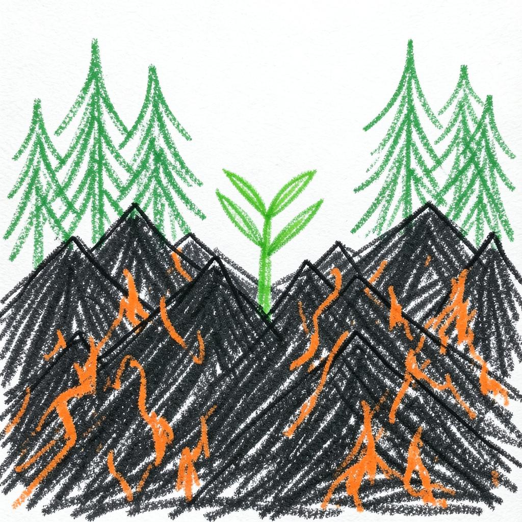 Where the Trees Once Stood artwork