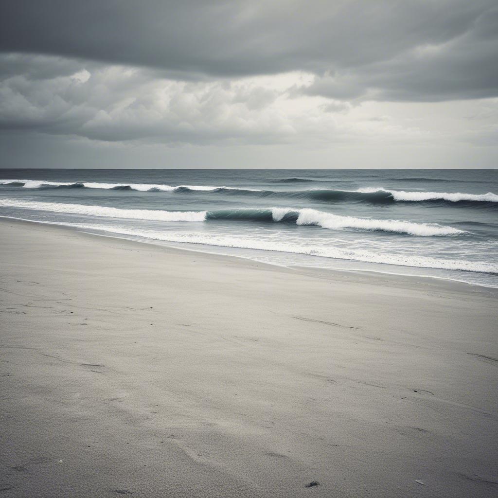 Image for Songs i wrote 