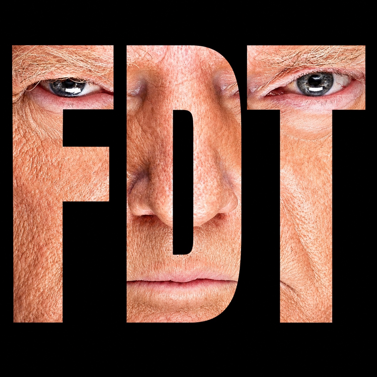 F D T artwork