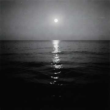Above the Tide