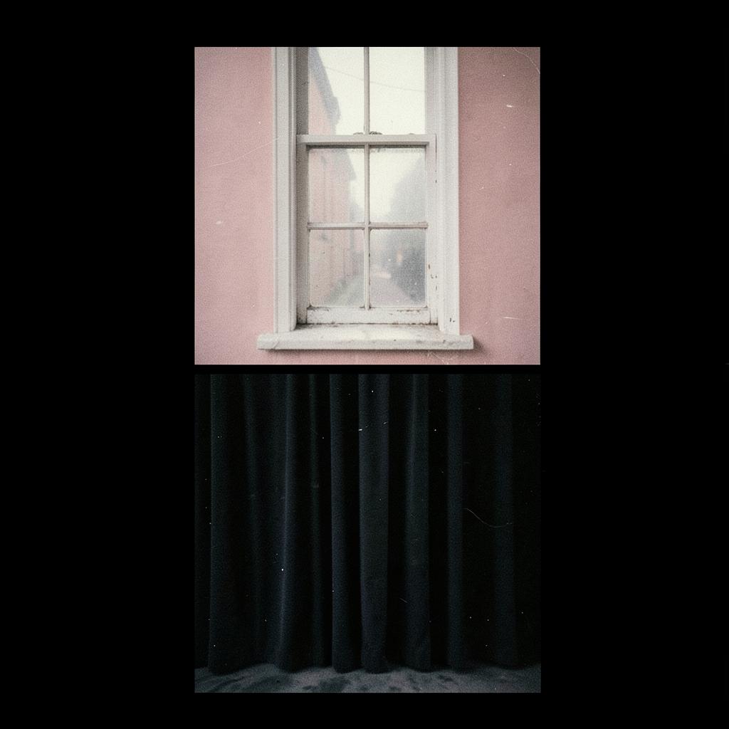 Ex/Pinkish Shutters artwork