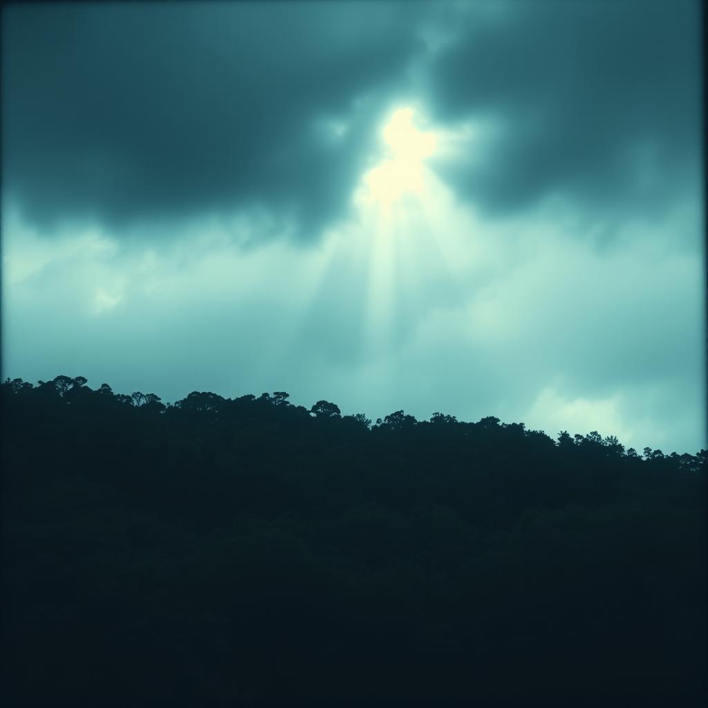 Somebody Tell Me artwork