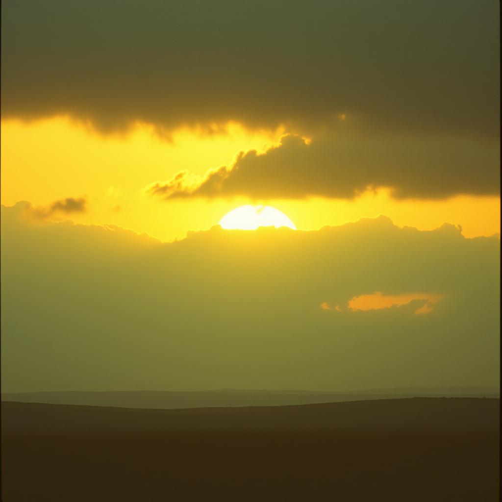 Voice image for Indie Bob