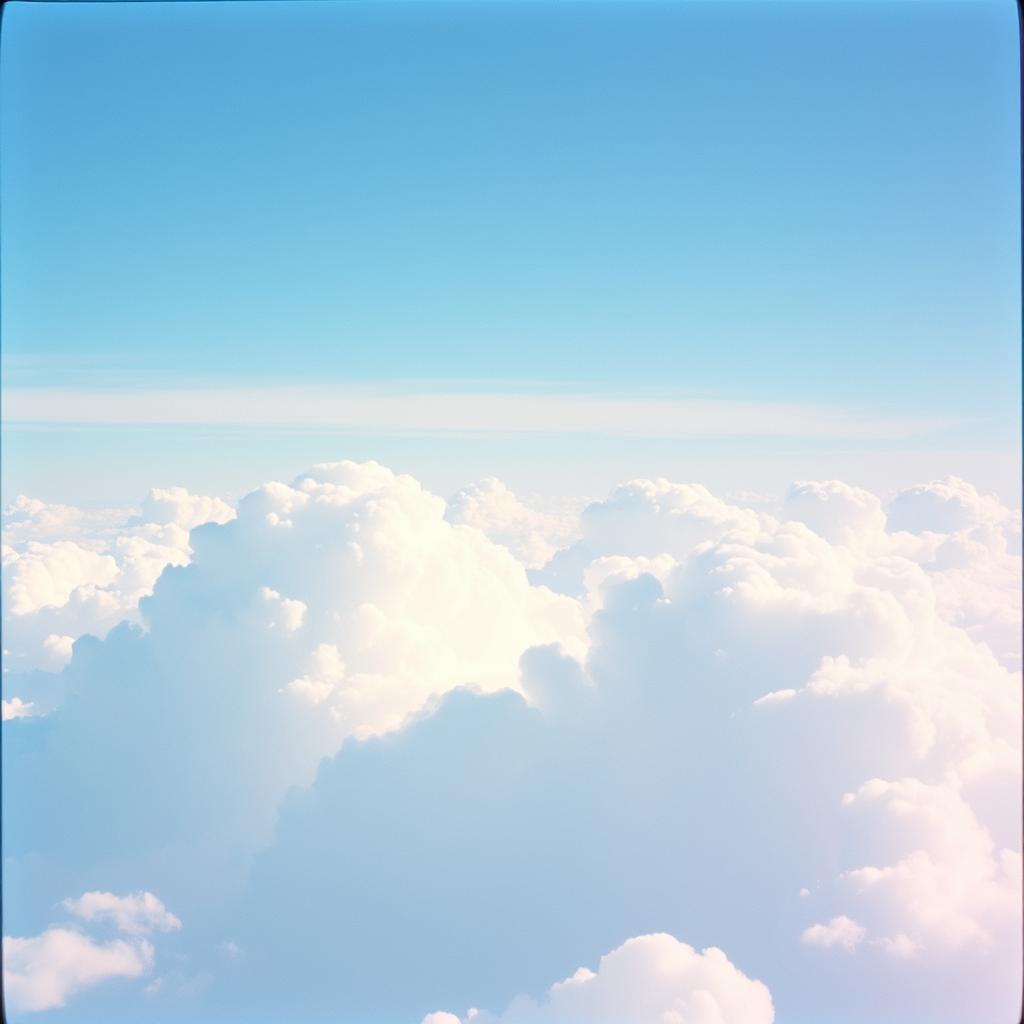 Persona image for Untitled Persona