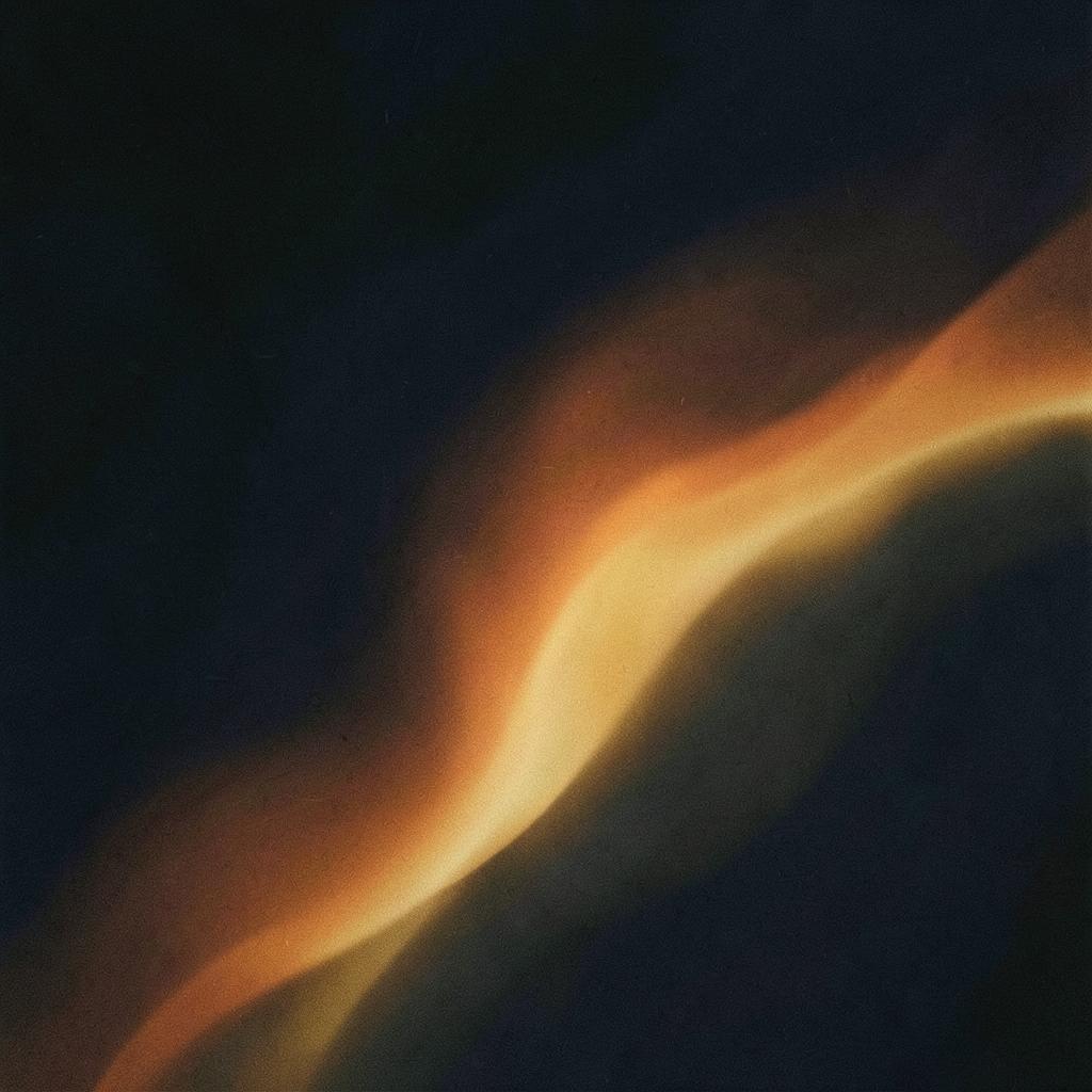 Les enfants de l'ombre artwork