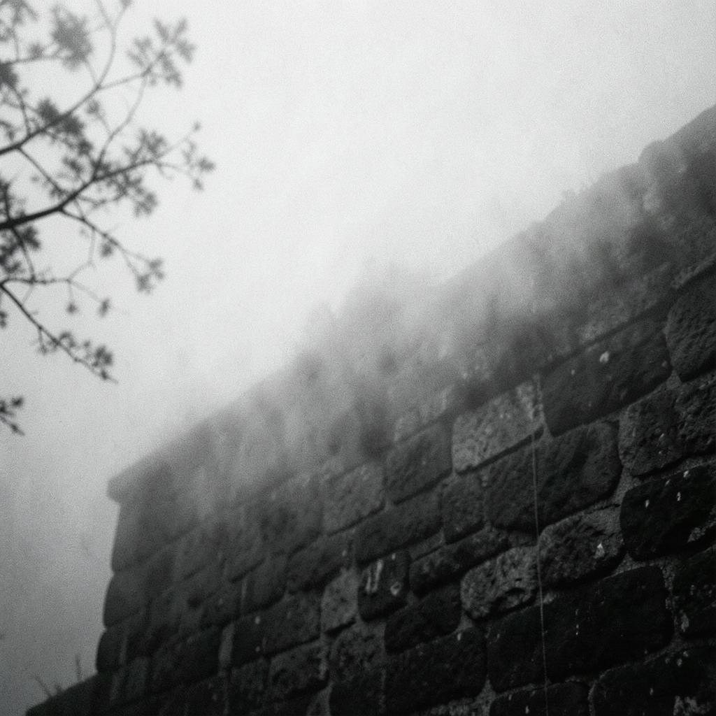 Lost in Fog artwork