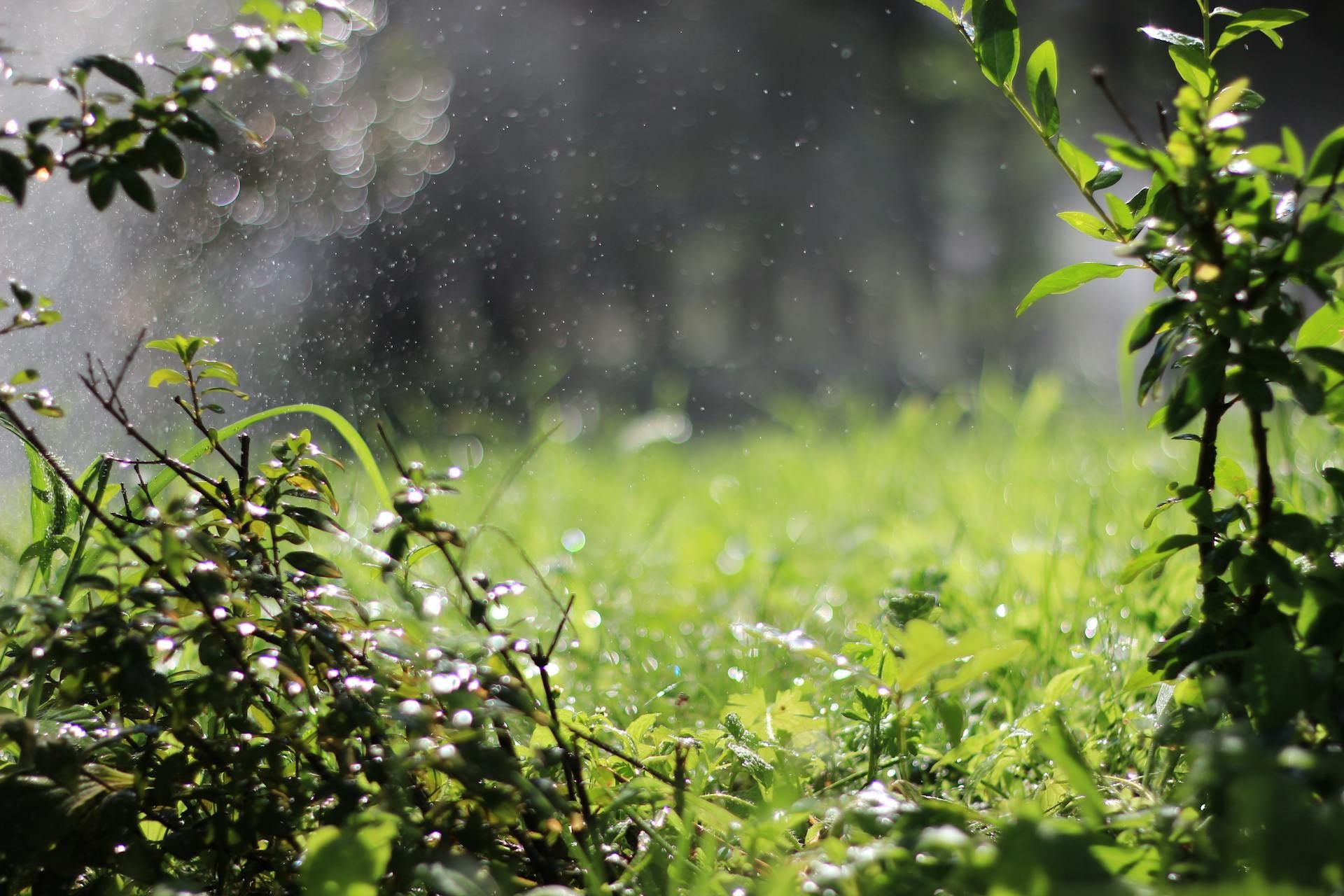 After The Rain artwork