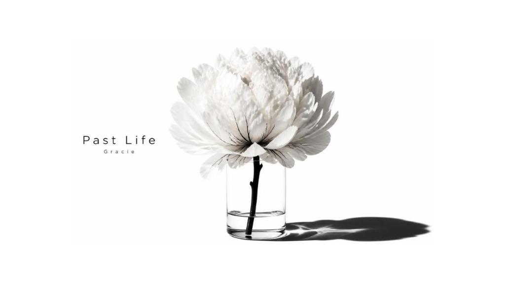 Past Life - Album