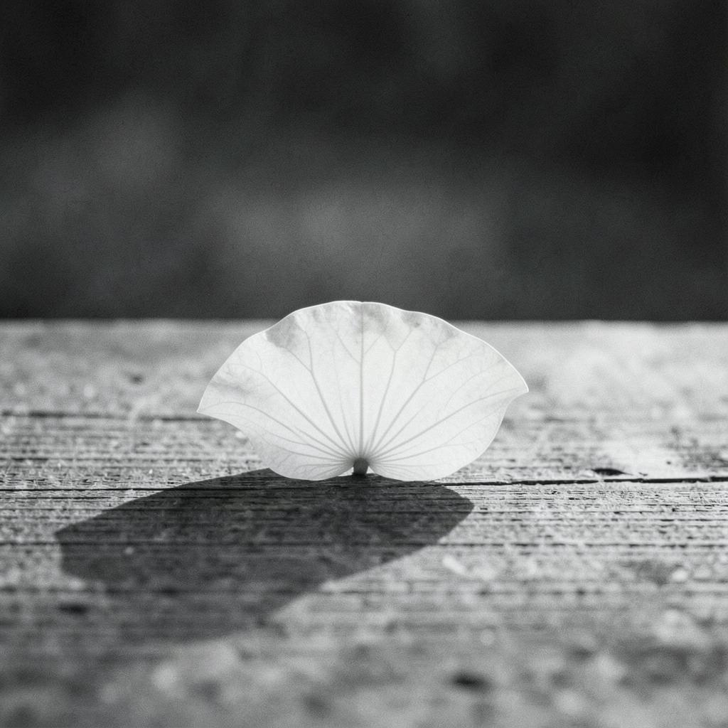(Noble) Meditations 1
