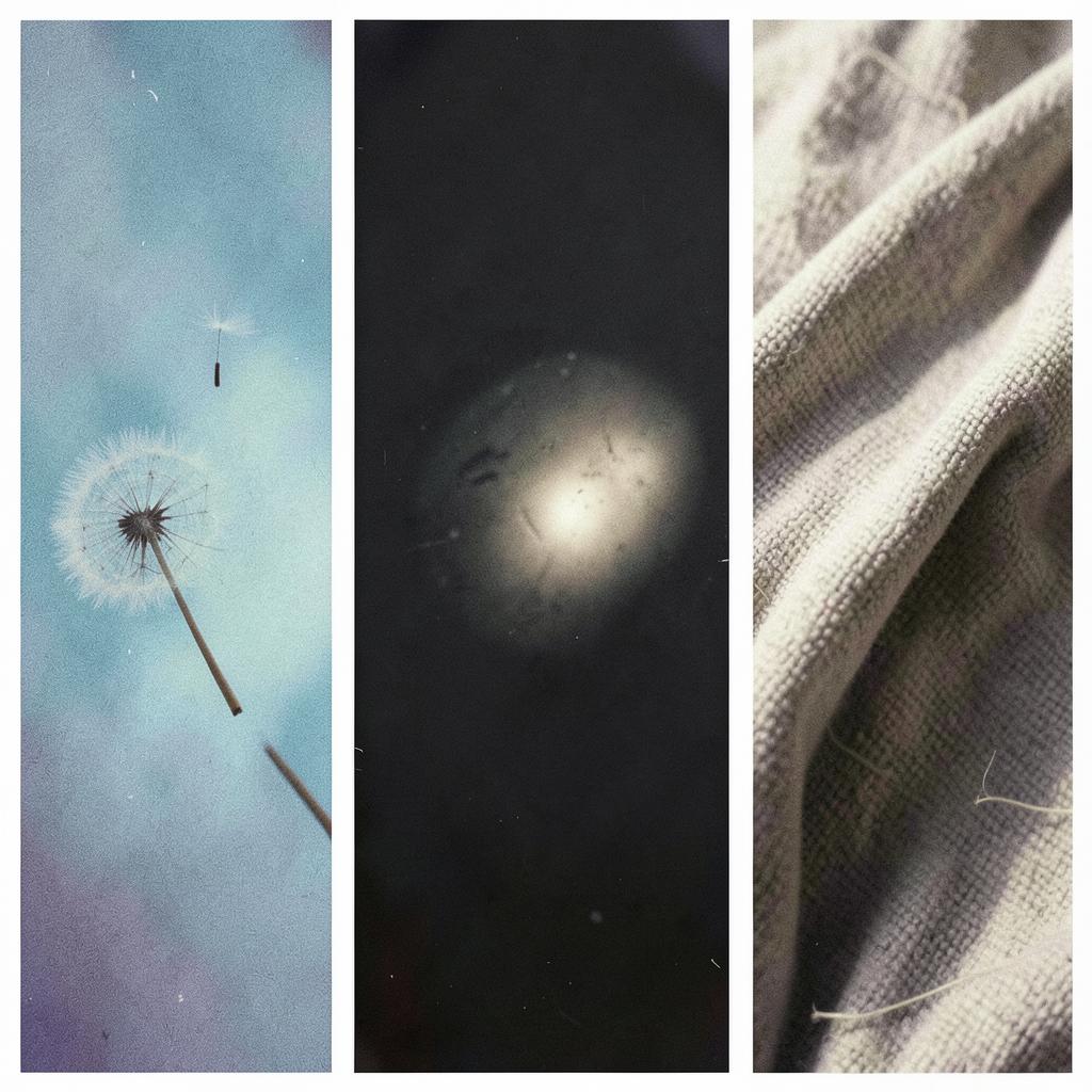 still here artwork