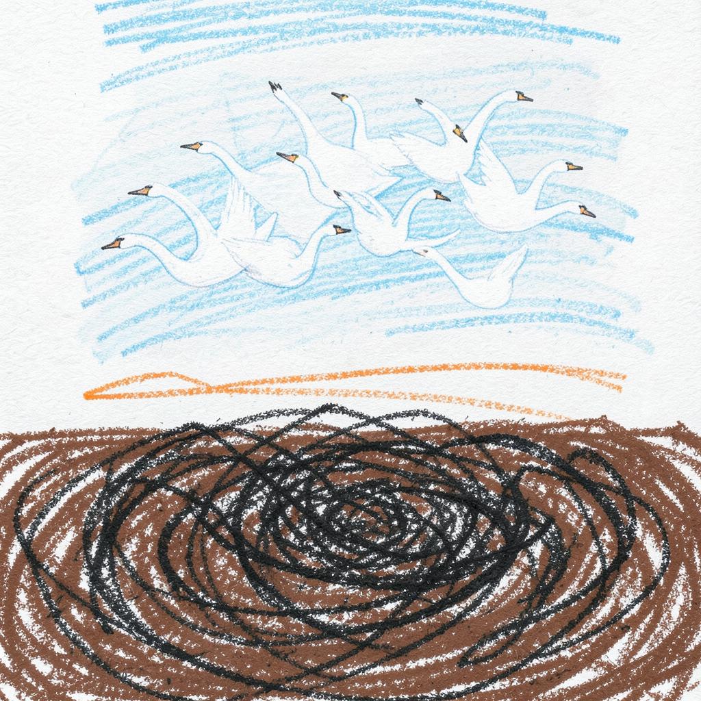 Гуси-лебеди(Шельске В.) artwork