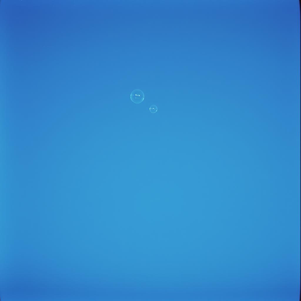 Persona image for N.1