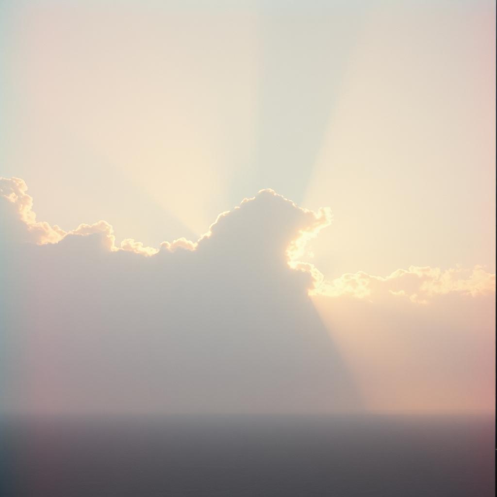 Persona image for Untitled Persona