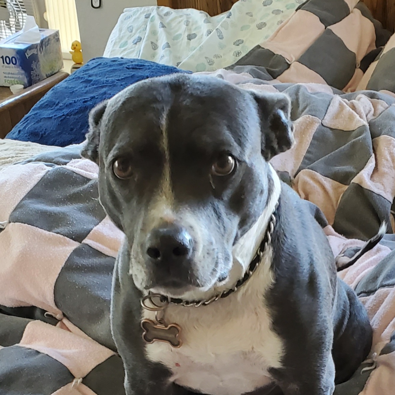 Persona image for Untitled Persona