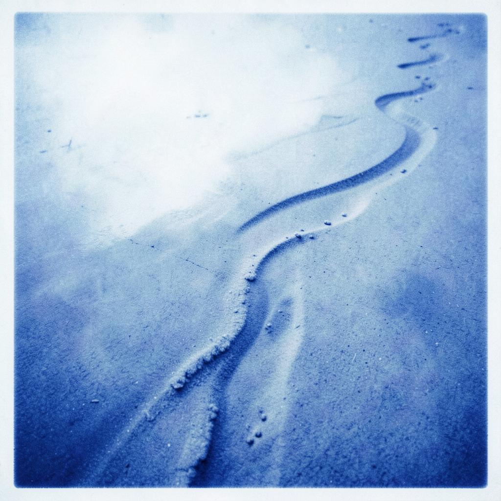 Meine Spuren im Sand artwork