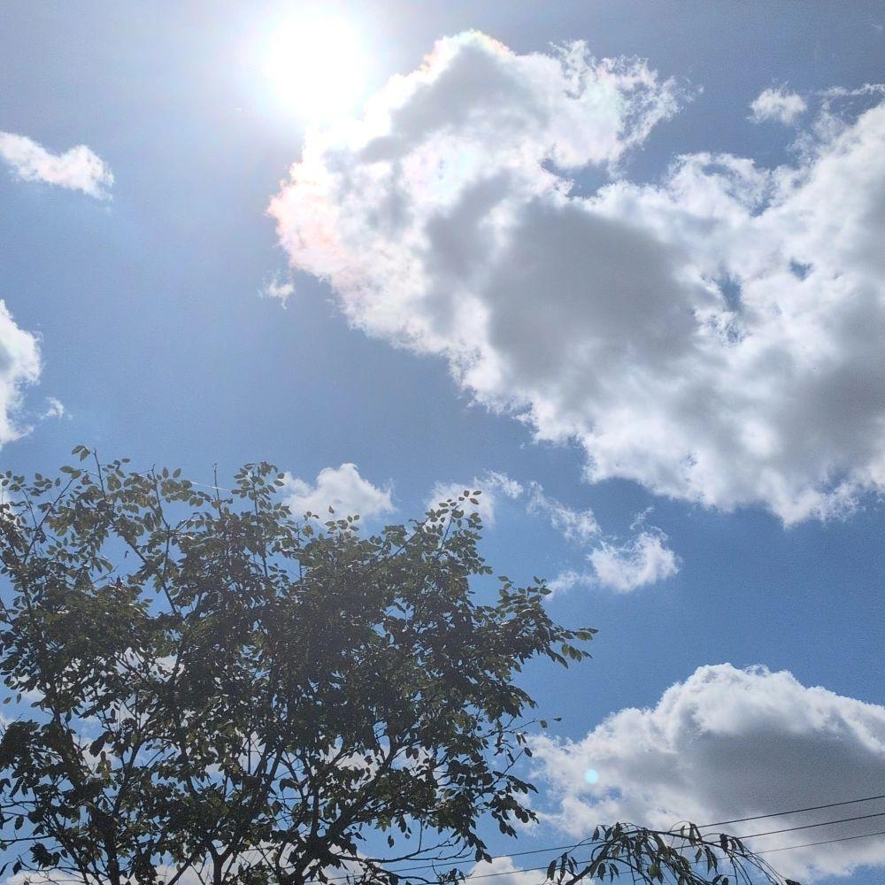 空を見上げて