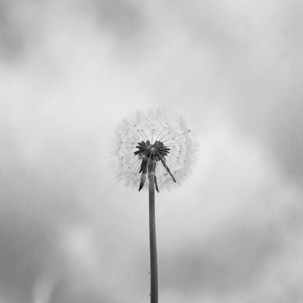 Its Own Order (Analog Harmony Version) artwork