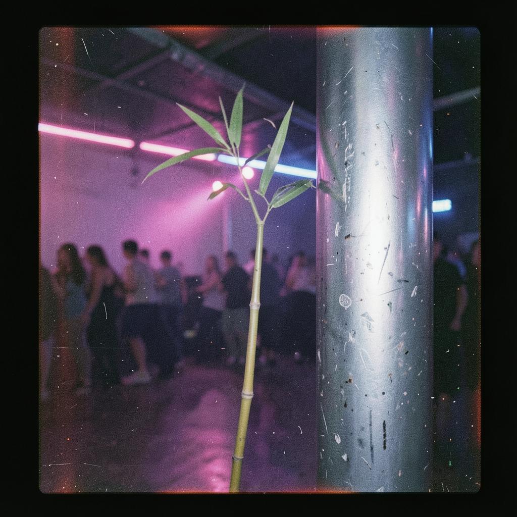SupportBambooAgidelHardDanceSayYesToTheNight 04(混搭4) artwork