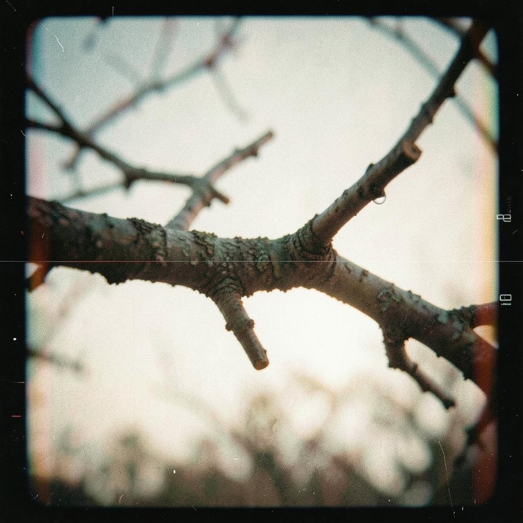Same Atoms, Different Stories artwork