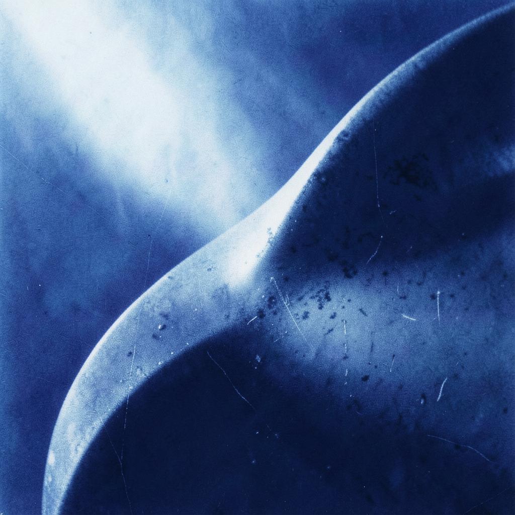 The Quiet That Remains artwork