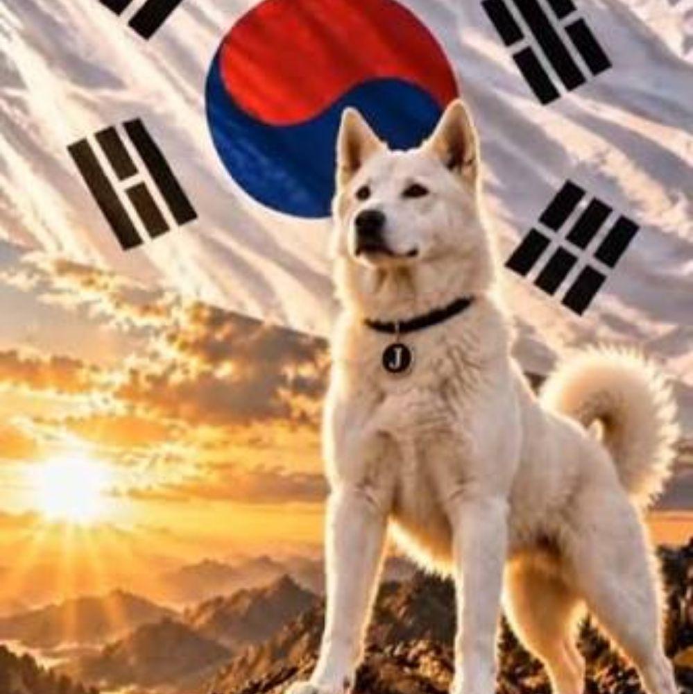Korean Dog Stars