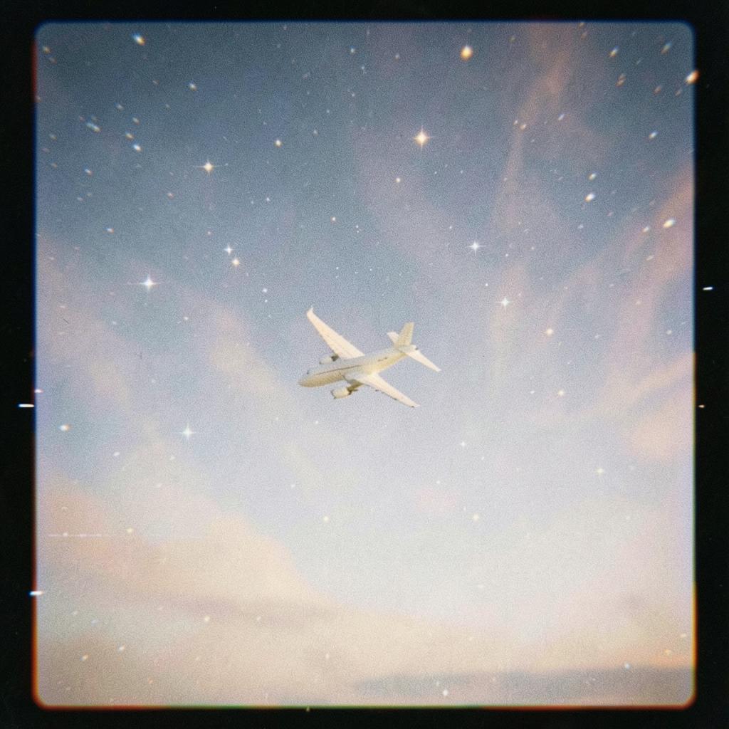 FLY ME TO THE   MOON artwork