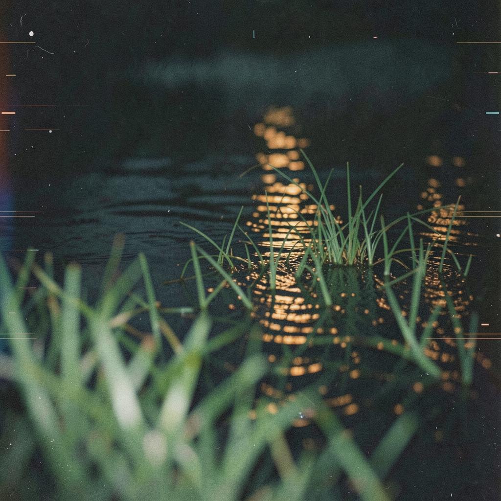 水面草 artwork