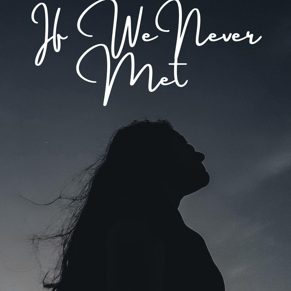 If We Never Met