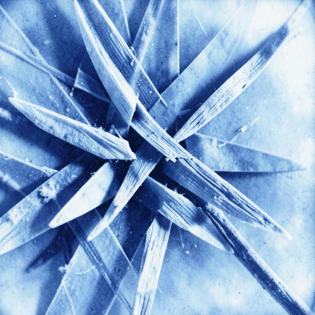 House Is Back (Kalina 2 Mix) // contest artwork