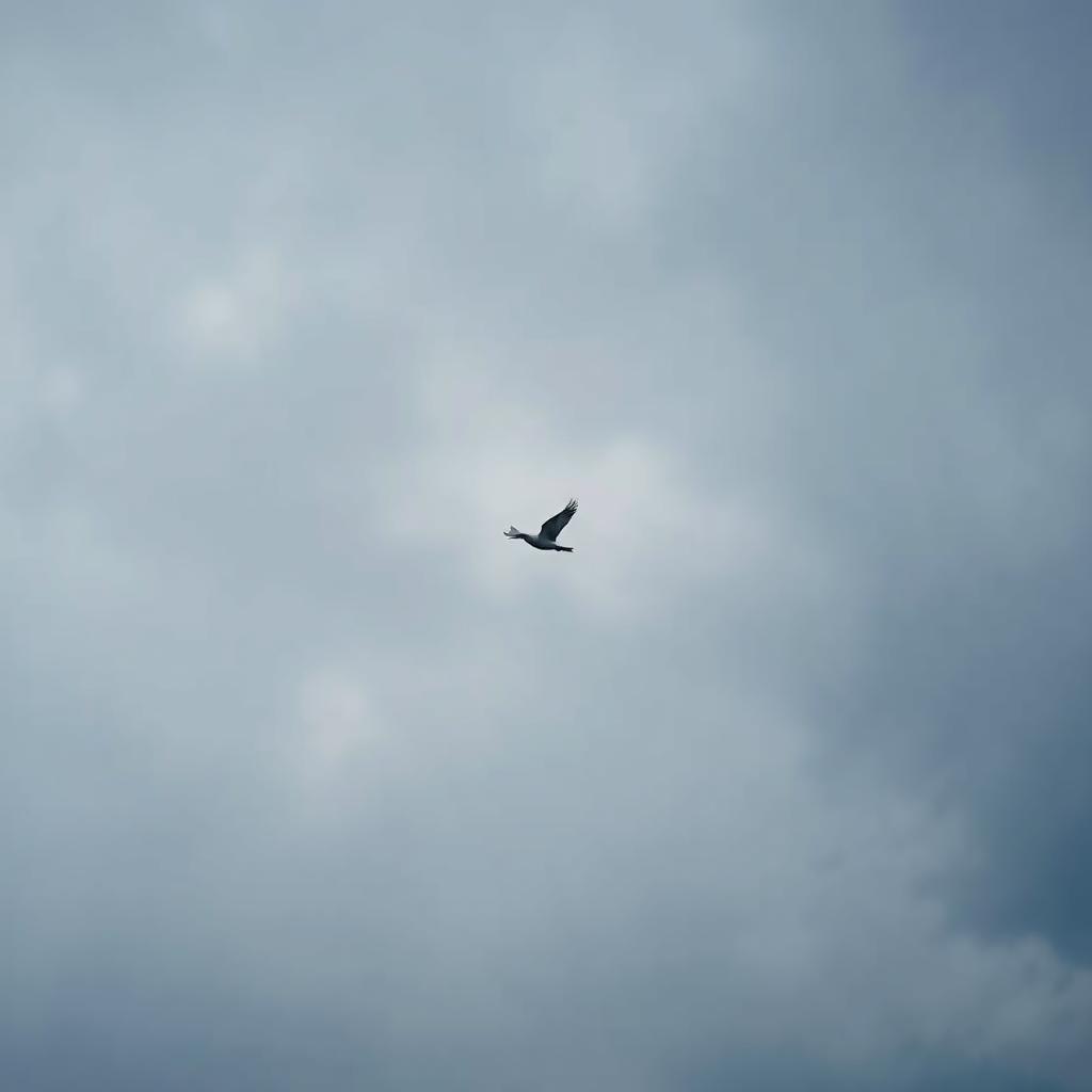 Persona image for Untitled Persona